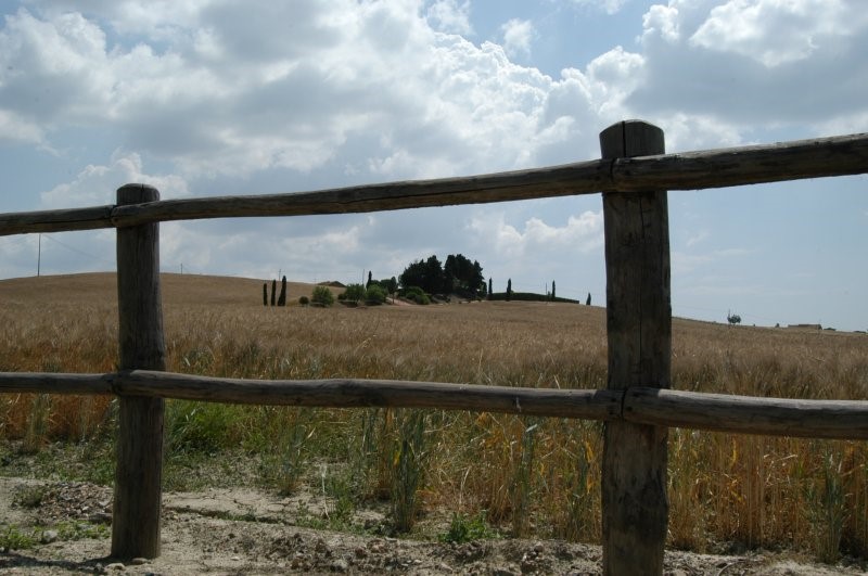BIBBONA CAMPAGNA